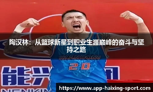 陶汉林:从篮球新星到职业生涯巅峰的奋斗与坚持之路